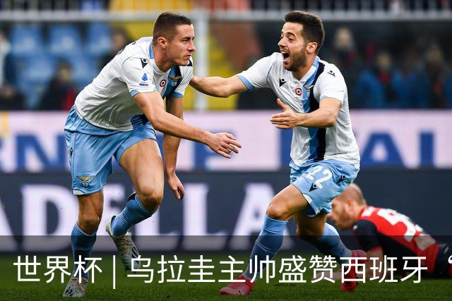 世界杯 | 乌拉圭主帅盛赞西班牙“精致足球”
