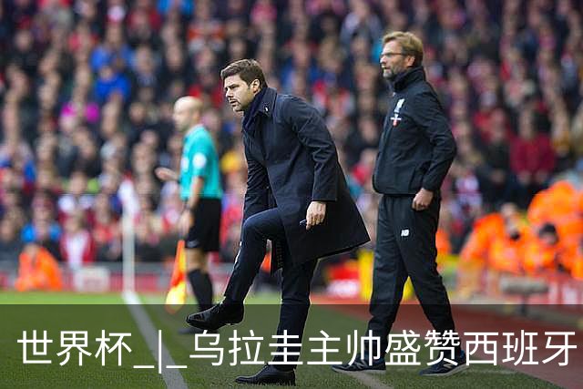 世界杯 | 乌拉圭主帅盛赞西班牙“精致足球”