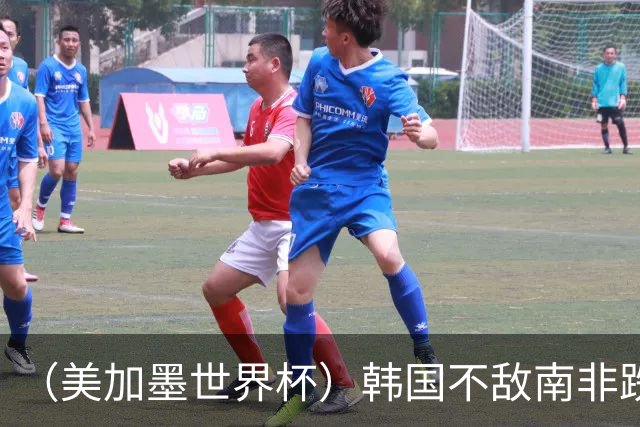 （美加墨世界杯）韩国不敌南非跌至小组第三 出线前景待定